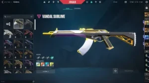 Conta Valorant Full Acesso Com Skins Raras De Faca