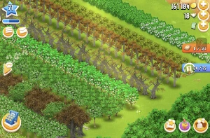 Conta Hay Day Lvl 71