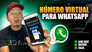 Numero virtual na promoção funcionando 2024 - Outros