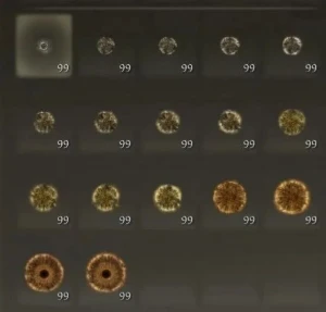 Elden Ring Runas 500 milhões