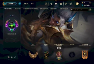 Conta Ouro 4 - 355 SKINS