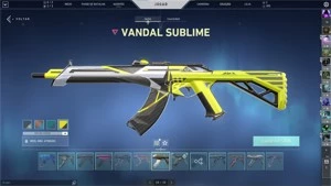 Conta Nível 331/ Skins lendárias,Limitadas e Exclusivas + WR - Valorant