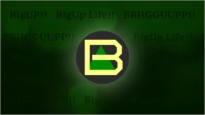 BigUp 10.00000000 Moeda Virtual tipo Bitcoin Guarde Agora! - Others