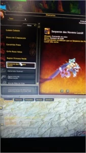 Conta com paladino level 100/ guarniçao upada/montarias/pets - Blizzard