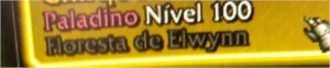 Conta com paladino level 100/ guarniçao upada/montarias/pets - Blizzard