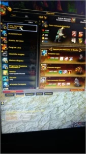Conta com paladino level 100/ guarniçao upada/montarias/pets - Blizzard