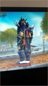 Conta com paladino level 100/ guarniçao upada/montarias/pets - Blizzard