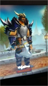 Conta com paladino level 100/ guarniçao upada/montarias/pets - Blizzard