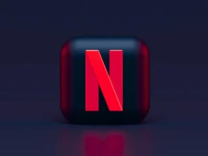 Netflix Privada 30 dias / Entrega imediata . - Assinaturas e Premium