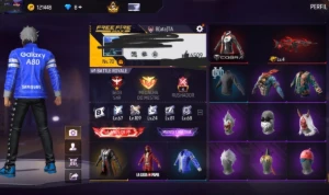 Conta Free Fire Inumeros Itens Raros/ Mano Max, Galaxy A80..