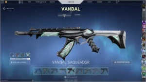 Conta Valorant