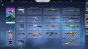 Conta de Valorant desde o BETA + 1.800,00 em skins