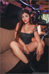 Pack Aline Faria (envio imediato) - Conteúdo Adulto