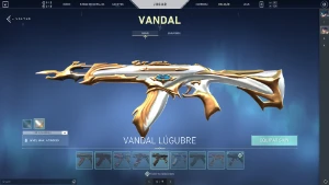 Conta Valorant D1
