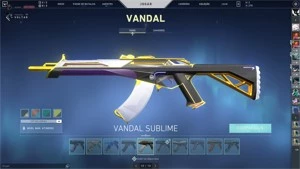 CONTA VALORANT MUITAS SKINS