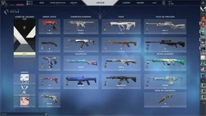 CONTA VALORANT MUITAS SKINS