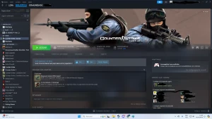 Conta steam com prime/4,8k de horas csgo, 12 anos, nivel 30