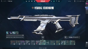 Conta Valorant