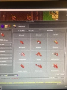 Royal Paladin 419 - Tibia
