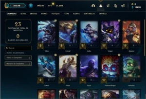 Conta Mestre com 24 Champs e 17 Fragmentos de skins - League of Legends LOL
