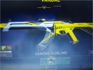 Conta de valorant platina 3 com skins "PREÇO NEGOCIAVEL"