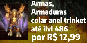 Armas ,  armaduras colar anel trinket até ilvl 486 - Blizzard