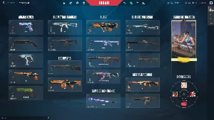 Conta Valorant Com Vandal E Phantom Para Smurf