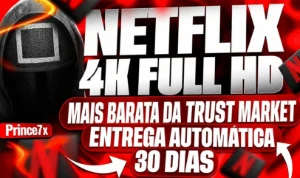 Netflix 4K - Tela Privada | 30 Dias|Entrega Imediata + Bride - Assinaturas e Premium