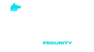 Cheat Fecurity com skin changer Key 30 dias Cs2 - Counter Strike