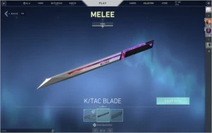 Conta Valorant R$525,00 em Skins