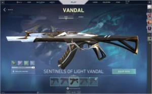 Conta Valorant R$525,00 em Skins