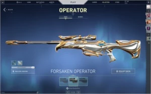 Conta Valorant R$525,00 em Skins