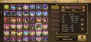 Summoners War Global C2 com Ragdoll Leo Maximilian Teshar