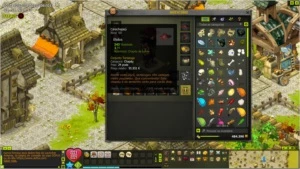 Conta Server Ilizaele - Dofus