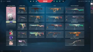 Conta valorant varias skins e conta lol