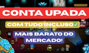 Conta Upada Soul Knight / Gmail E Chillyroom
