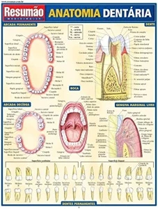 Anatomia Dentária - Andréa Barros - eBooks