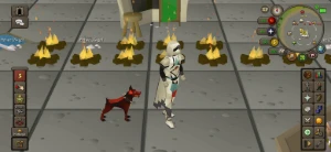 Conta Top Main Osrs, 4 Pet