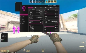 Iniuria Cs2 Lifetime