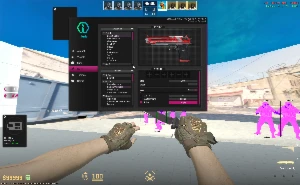 Iniuria Cs2 Lifetime - Counter Strike