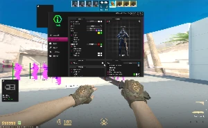 Iniuria Cs2 Lifetime - Counter Strike