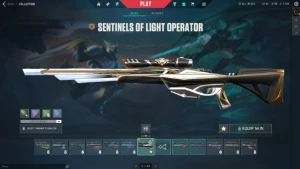Conta de Valorant Ascendente 1 com Muitas Skins Full acesso