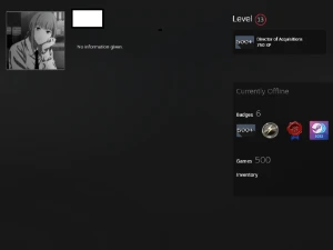 500 jogos, Nível 13 steam, Com infos de criação