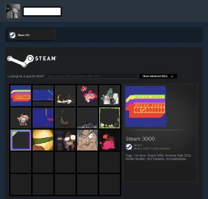 500 jogos, Nível 13 steam, Com infos de criação