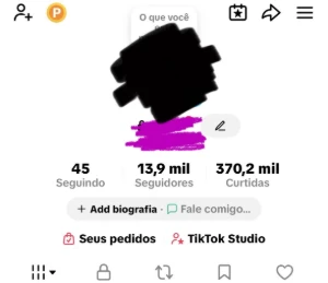 Conta Tiktok 13K Seguidores + 370K Curtidas - Social Media