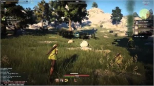 Conta - Black Desert Online Brasil - Outros