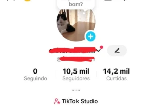 Comta monetizada com esse preço só hoje, primeiro leva - Redes Sociais