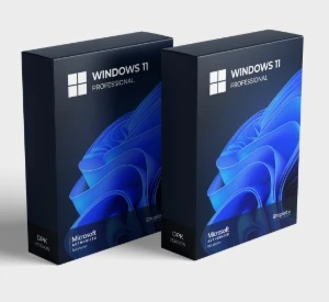 Atualização do Windows 11 Home Edition para Professional Pro - Softwares and Licenses