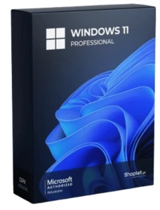 Atualização do Windows 11 Home Edition para Professional Pro - Softwares and Licenses