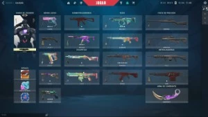 CONTA NFA COM VARIAS SKINS - Valorant